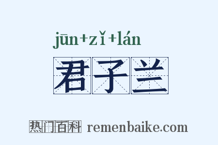 君子兰是什么意思的图片